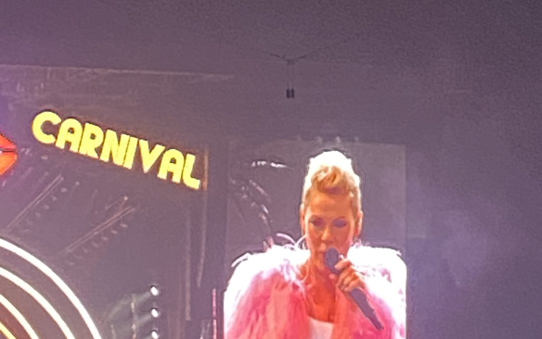 PINK’s Performance: A Lesson in Excellence!